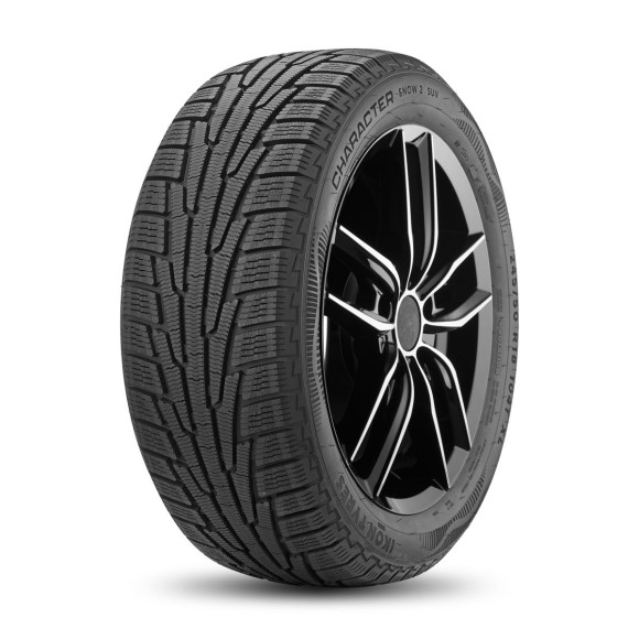 Шины Ikon 265/65 r17 Character Snow 2 SUV (Nordman RS2 SUV) 116R Шины Ikon 265/65 r17 Character Snow 2 SUV (Nordman RS2 SUV) 116R